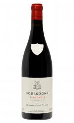 2022 Domaine Paul Pillot Bourgogne Pinot Noir, Burgundy